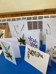 Pretty dried flower cards made by Rosemary